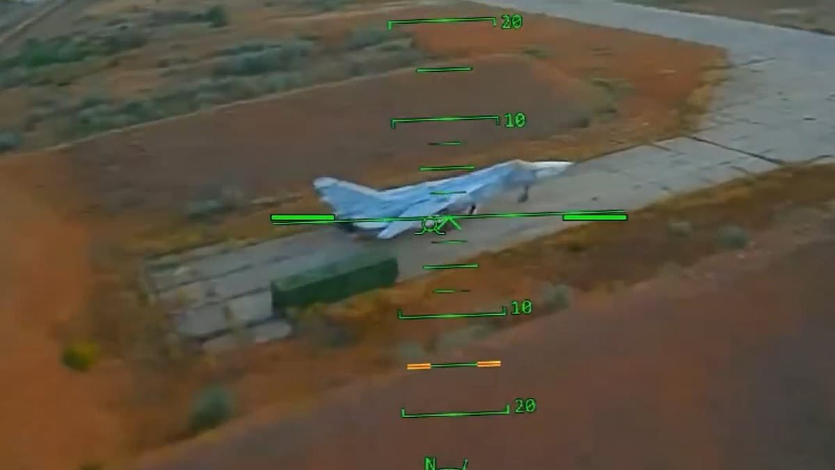 Ukraine's drones wipe out 15 of Putin's military aircraft 'worth $1billion' on Russian airfields