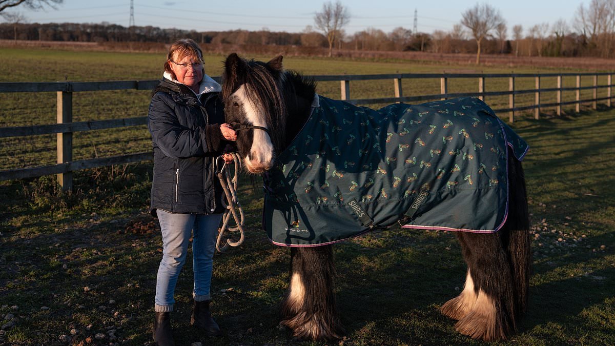 Villagers say their 'rural paradise' will be ruined by enormous solar farm the size of 1,645 football pitches that has been signed off by Ed Milliband