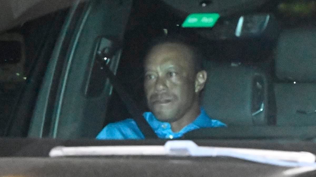 Tiger Woods pleads not guilty to DUI and hires cut-throat lawyer for his bitter court battle after latest arrest