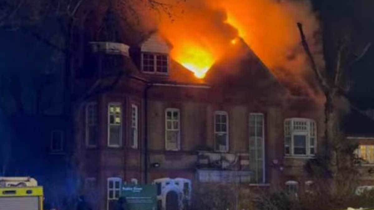 Huge blaze breaks out at London nursery as dozens of firefighters battle flames and thick smoke billows into the air