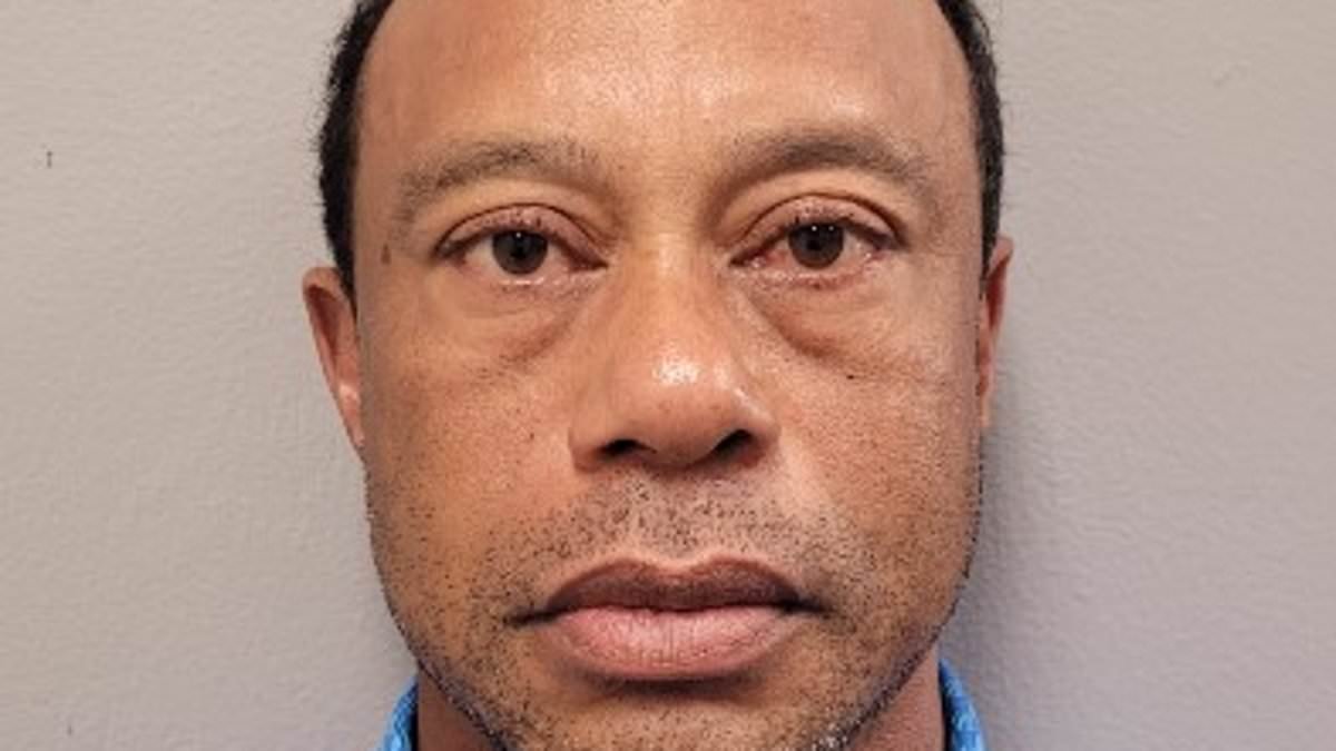 Meet golf's bad boys: Tiger Woods and world No 1 Scottie Scheffler among stars whose menacing police mugshots have gone viral after arrests
