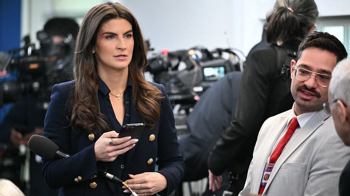 CNN has lost nearly two-thirds of its viewership since 2016 amid growing fears network is circling the drain