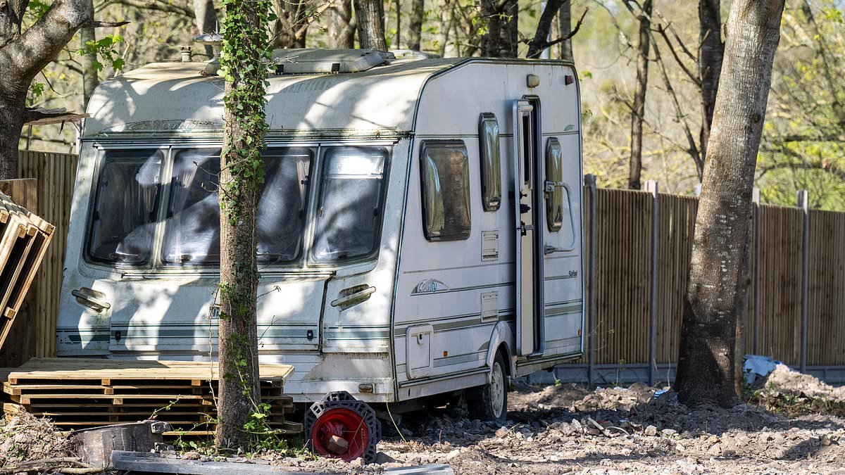 Surrey town becomes latest victim of traveller 'land grab': 'Illegal' site appears in middle of woodland after group brought in machinery and hacked down trees over Easter weekend