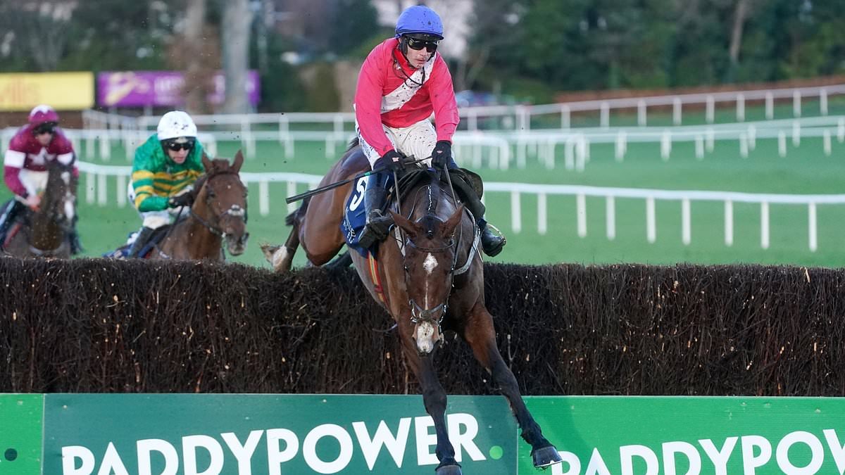 Grand National ULTIMATE guide: Daily Mail Sport's expert tips and cheat sheet ahead of Aintree race - as Willie Mullins' plot to secure another landmark win