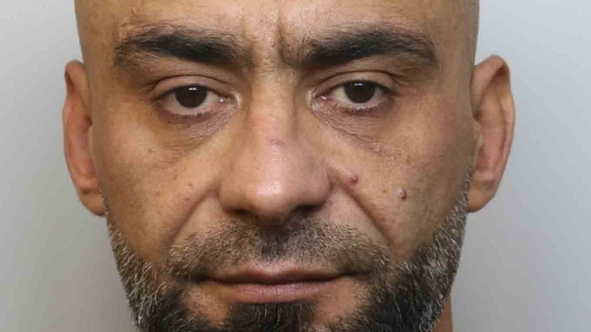 Romanian burglars ransacked houses and tore through children's bedrooms just a day after sneaking into UK