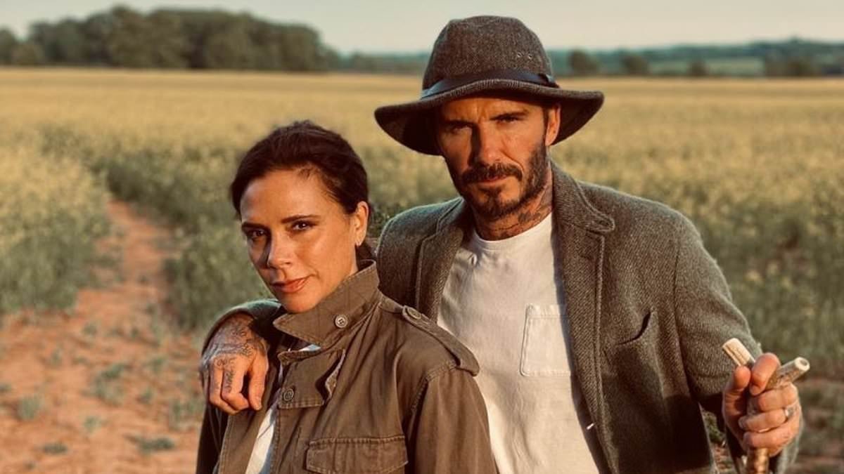 David and Victoria Beckham in hot water with neighbours AGAIN for plans at their £12M Cotswolds home