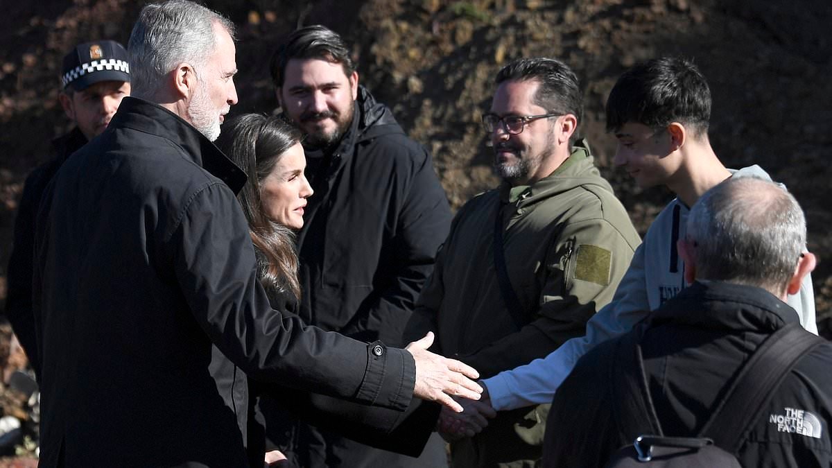 The Angel of Adamuz: Curious boy, 16, became one of the first on the scene of catastrophic Spanish train crash that killed 42 then worked tirelessly to help rescue survivors - with the King and Queen thanking him from the nation