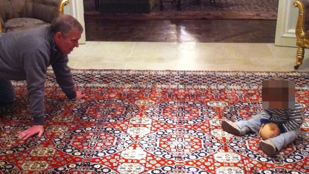 Shamed Andrew Mountbatten-Windsor plays with a boob ball with a toddler at Royal Lodge in 2011