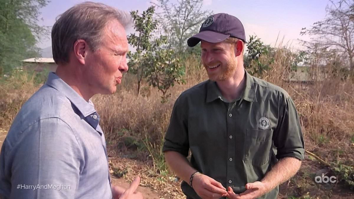 Prince William ended friendship with ITV's Tom Bradby after he felt 'betrayed' when journalist took part in Harry and Meghan's Africa documentary, new book claims