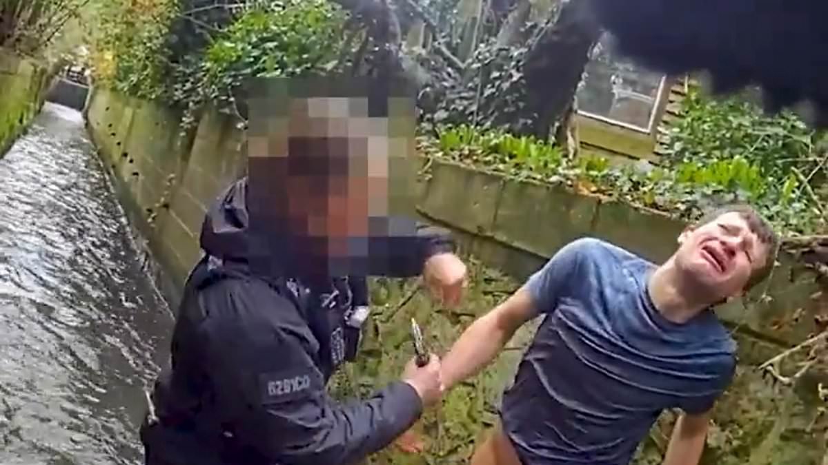 Humiliating moment hero police dog hunts down repeat offender in river after pursuit through gardens - before pulling his trousers and leaving him exposed