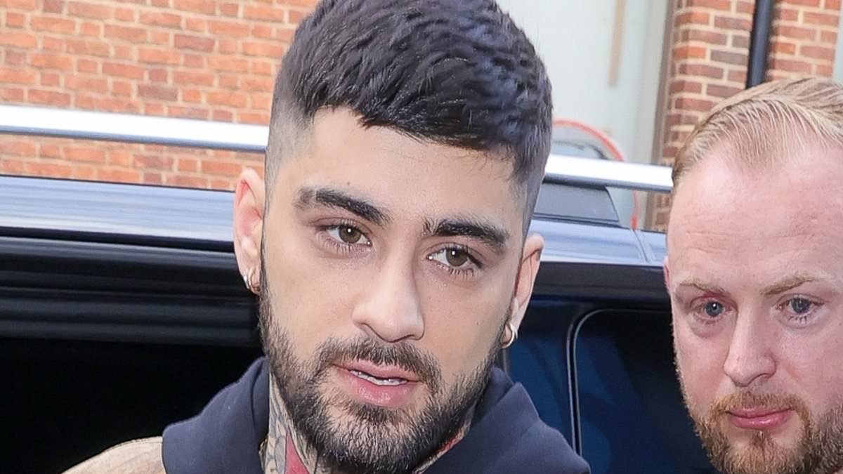 Zayn Malik, Emma Thompson, Penelope Cruz and Stevie Wonder are named in Epstein emails about 'anti-Israel celebrities'