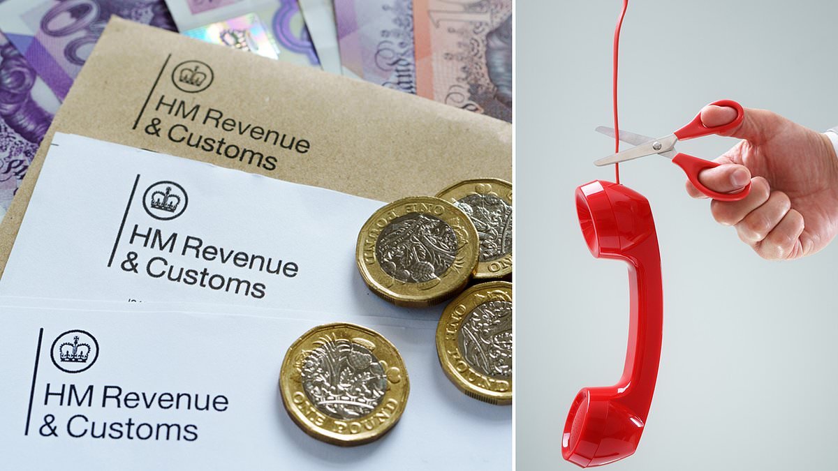 The hack which means you may not have to file a tax return at all: How to beat the HMRC customer service meltdown