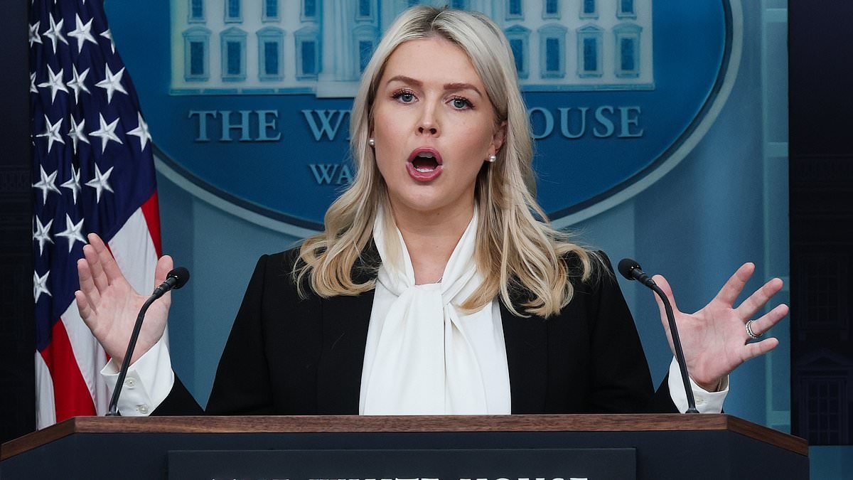 Karoline Leavitt EXPLODES at CNN's Kaitlan Collins as she's grilled on US troops killed by Iran