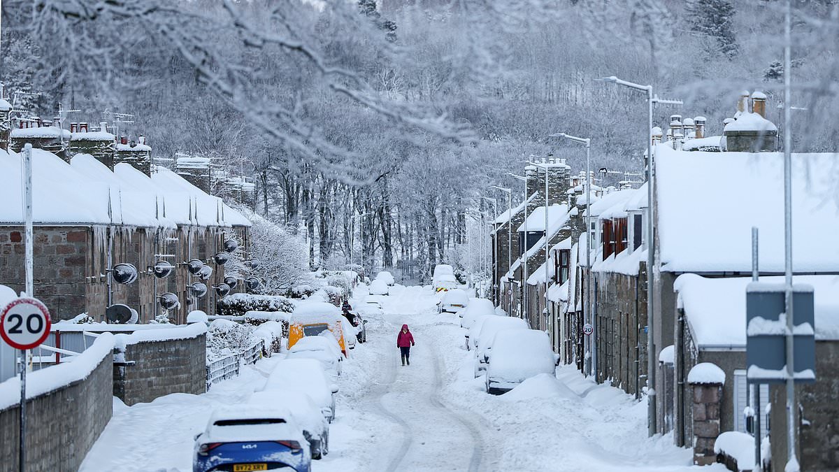 Travel chaos as Arctic Freeze grips Britain: Flights grounded, trains axed and roads blocked - as UK braces for coldest night of winter