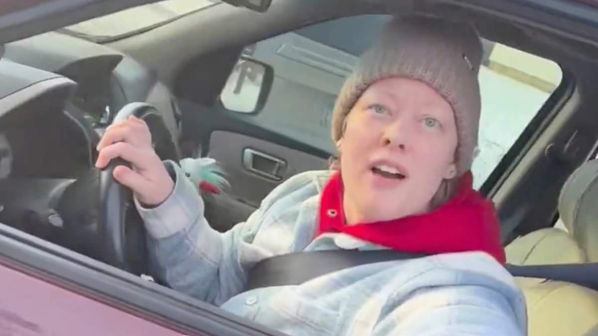 'This is what a cover-up looks like': Fury as Trump administration kicks local investigators off Renee Nicole Good ICE shooting probe