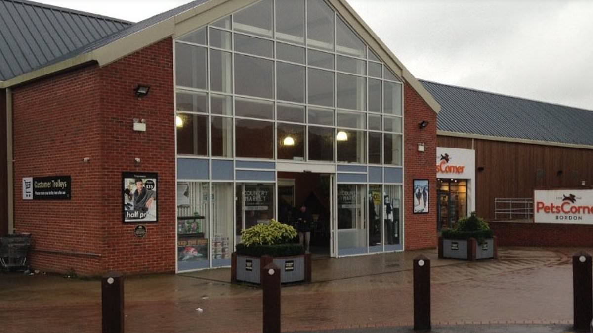 Family at war over 'Teletubbies' farm shop: Mother and daughter sue two sons over future of £6.6m site that has featured in hit TV show