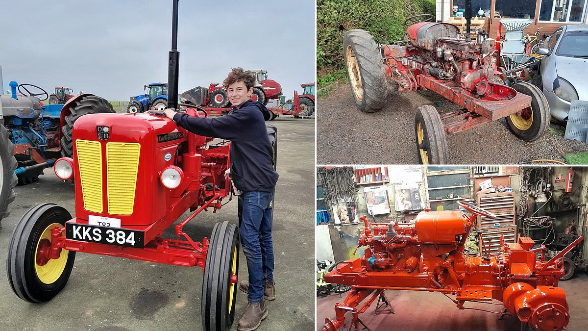 Back to its Hay-day! Teenager restores 1950s tractor after it lay forgotten for 20 years