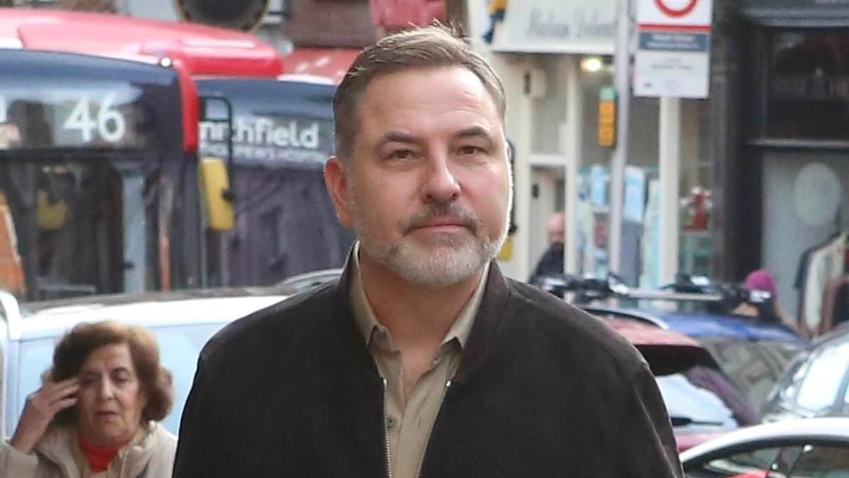 David Walliams performs to an audience of just 48 at local pub - as scandal-hit comedian claws his way back from allegations of 'harassment'