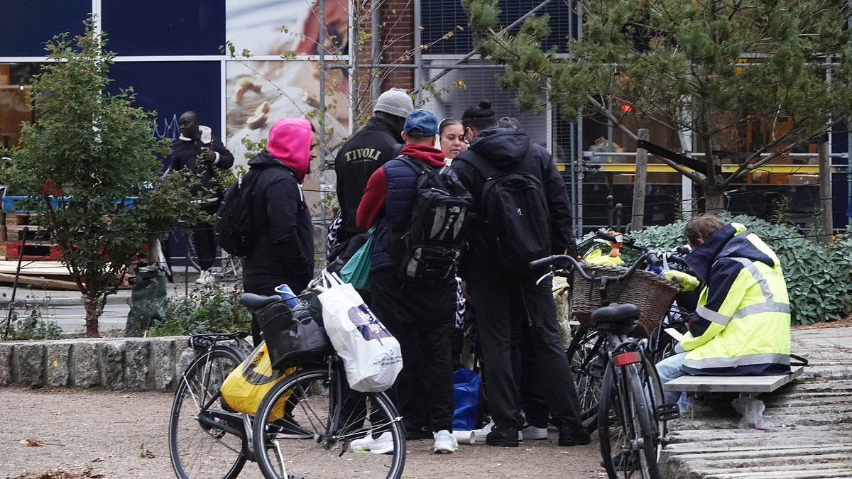 All foreigners sentenced to a year or more in jail will be deported under new laws in Denmark