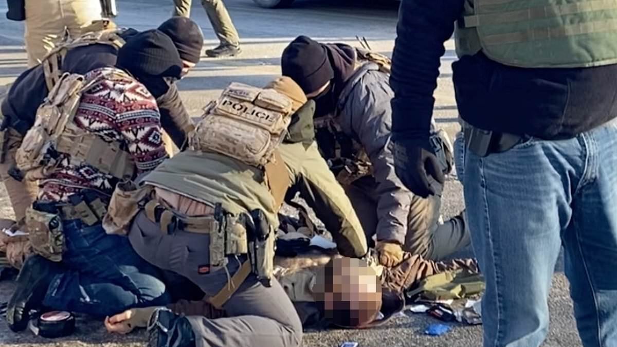 Two DHS agents SUSPENDED over deadly Minneapolis shooting of nurse Alex Pretti