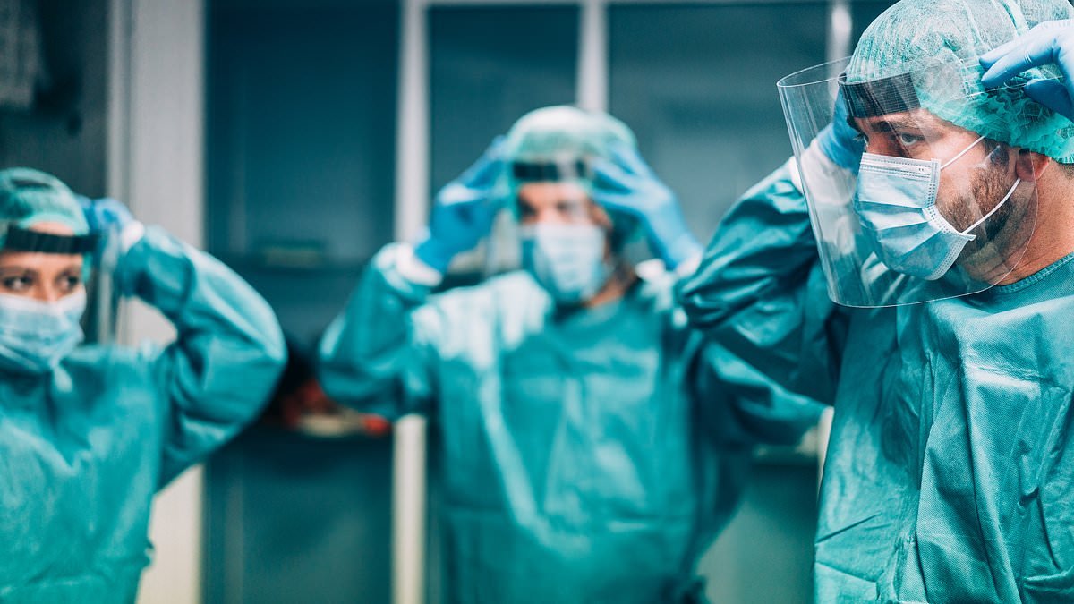 Deadly bat-borne virus sparks pandemic fears in Asia as countries bring back Covid-era border controls