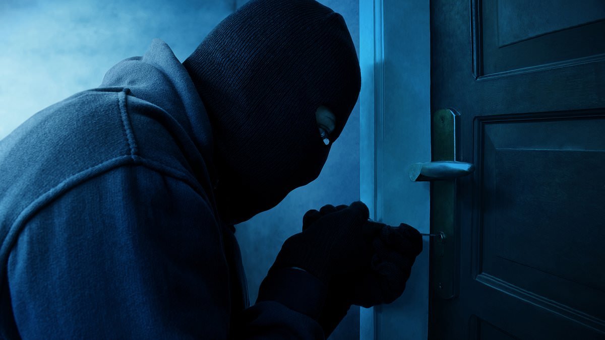 Worried about burglary? Here are 15 things security experts want everyone to know about protecting their homes
