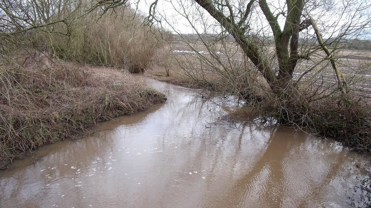 Man dies after entering flooded brook during police chase