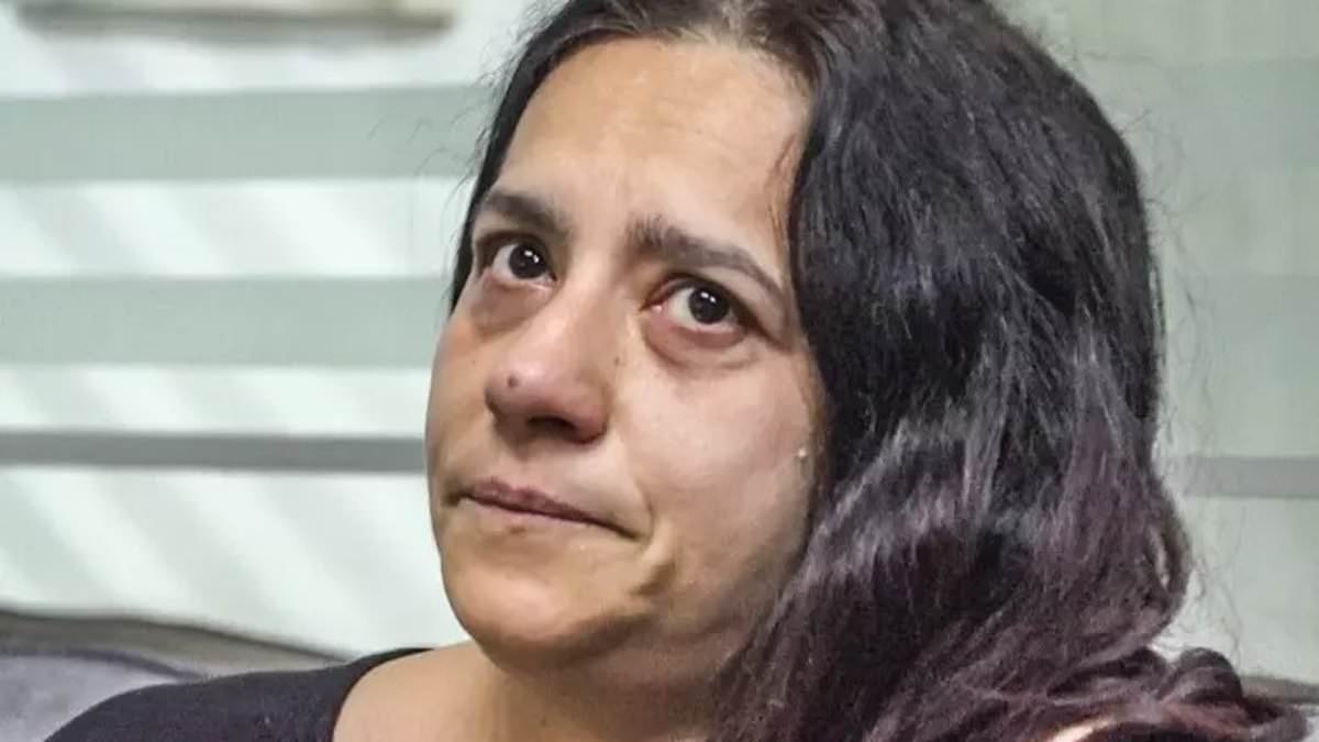 Boy, two, is placed on life support after his transplant heart 'was mistakenly frozen in dry ice' during eight-hour journey across Italy