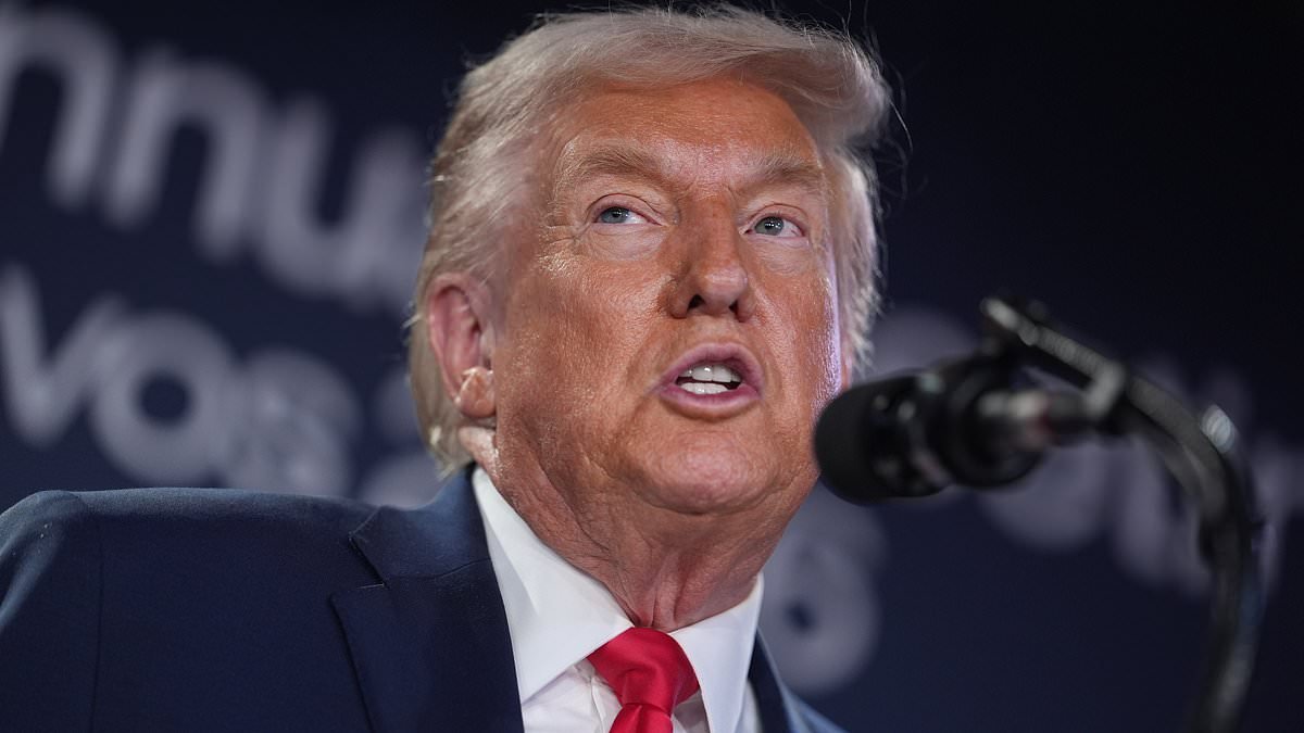 Trump mocks Emmanuel Macron for his 'beautiful sunglasses', asking 'What the hell happened there?' - after speculation swept social media