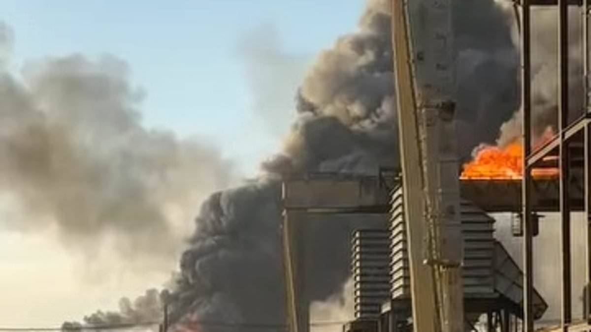 Oil refinery in Texas explodes into flames triggering massive boom as smoke billows through air