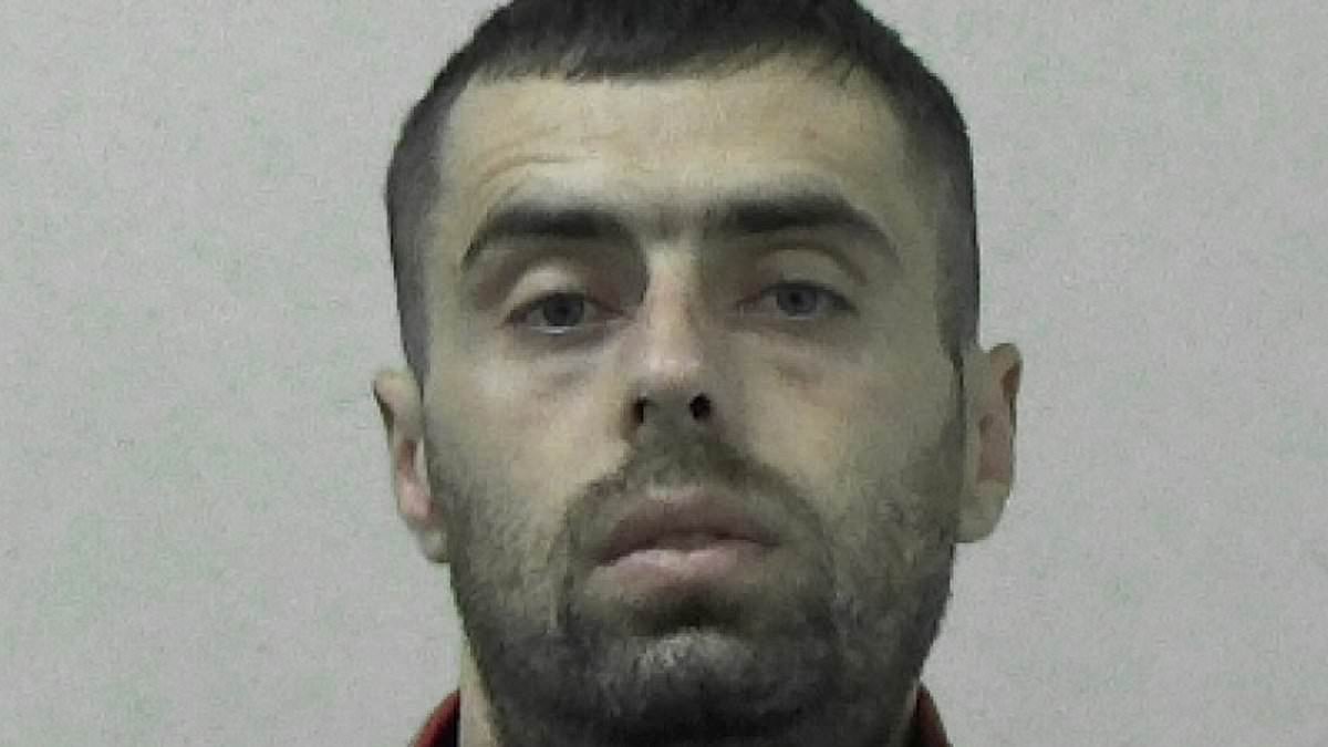 Albanian illegal migrant will be deported for a FIFTH time after being found hiding in the back of trailer