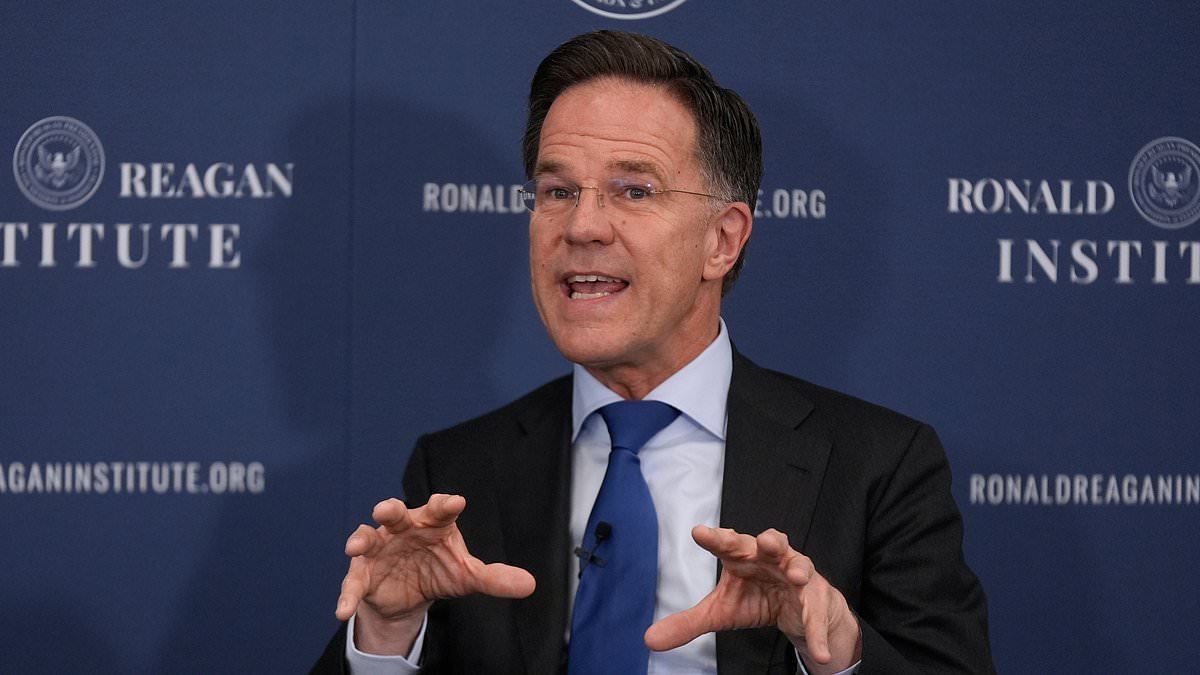 NATO chief BACKS Trump and says allies 'were slow to say the least' to support US in Iran - but insists they are now 'doing everything he asks'