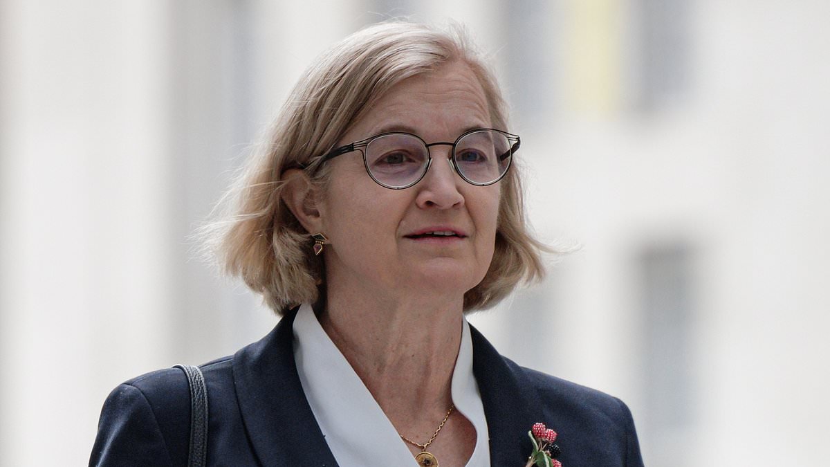 Fury over Labour trans schools policy: Ex-Ofsted chief warns schools will have 'too much leeway' to let children as young as four to transition 'while keeping it secret from their parents'