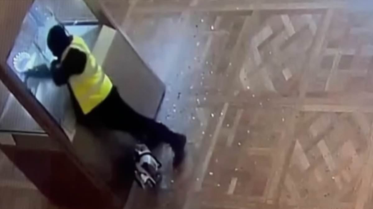 CCTV shows moment Louvre heist thieves smash into display cases and ransack £76m of jewellery