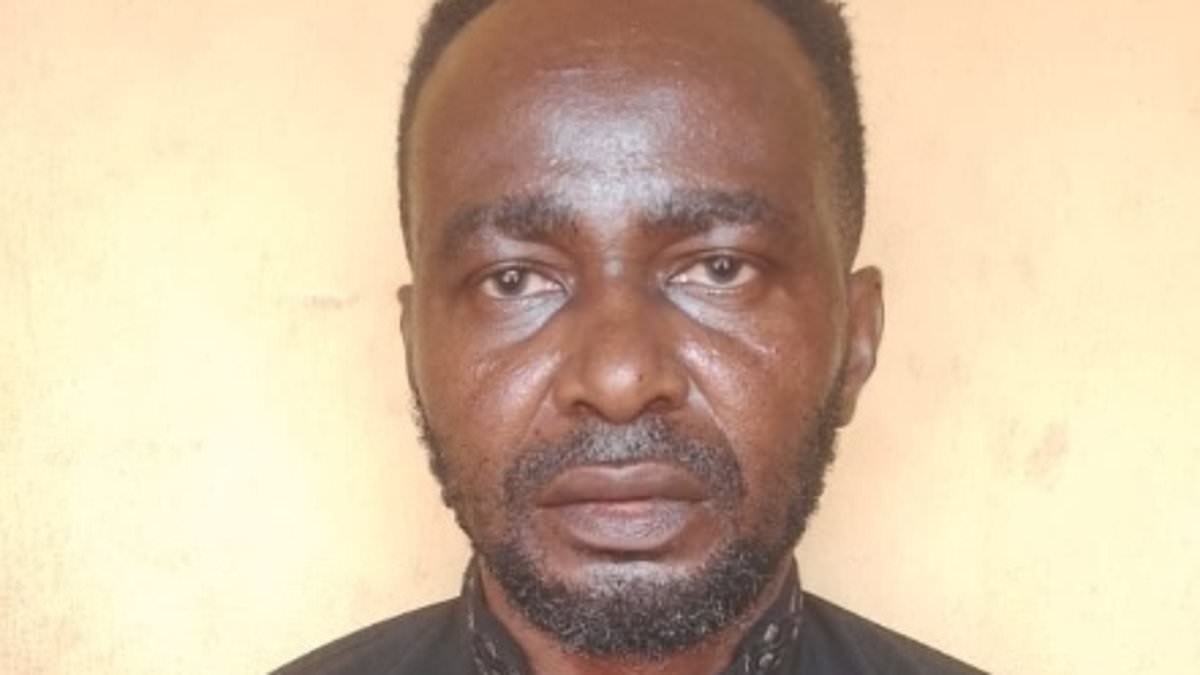 Anthony Joshua's 'reckless' driver is pictured as he faces potential life sentence over Nigeria crash that left boxer in hospital and killed two of his close friends