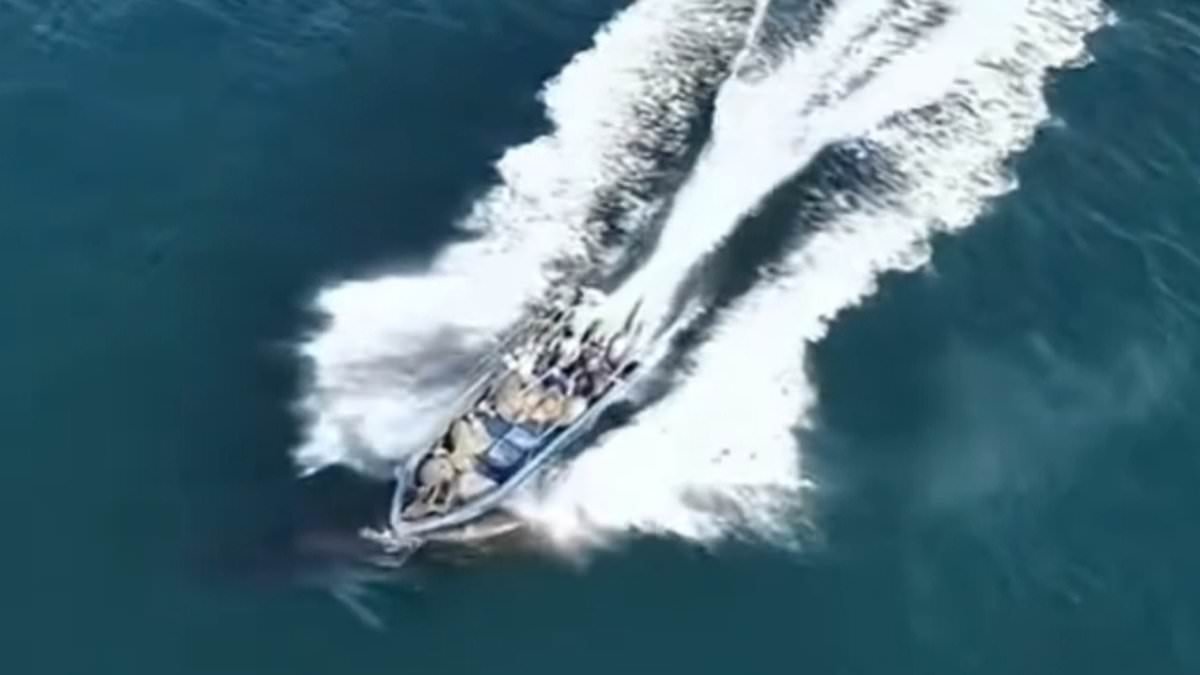 Moment Chinese fishermen crash their boat into protected whale