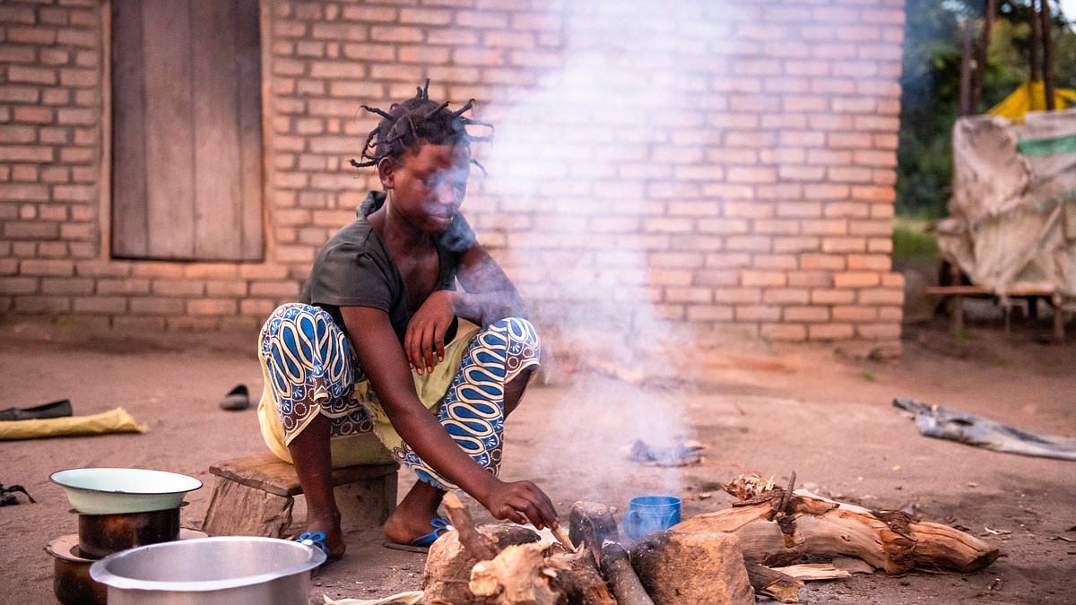 Yvette Cooper reveals £6billion of British taxpayers' money will be spent on green schemes overseas despite major cuts to foreign aid budget