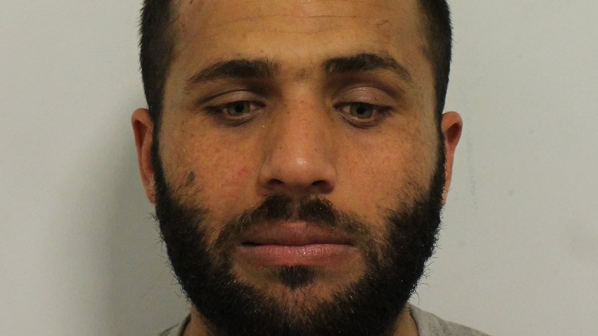 Afghan migrant who repeatedly punched woman in random attack dies in jail