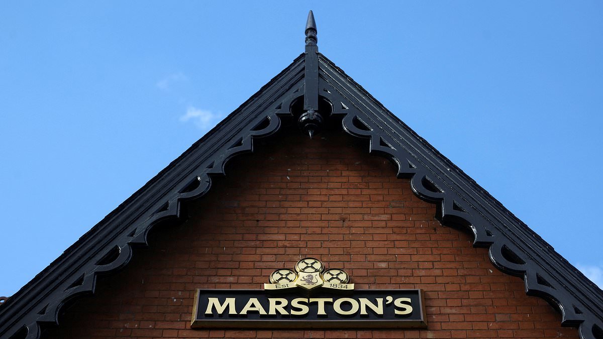 Nine dirt-cheap investment trusts you can pick up at large price discounts which financial experts believe could pay off in the short and long term, by money guru JEFF PRESTRIDGE