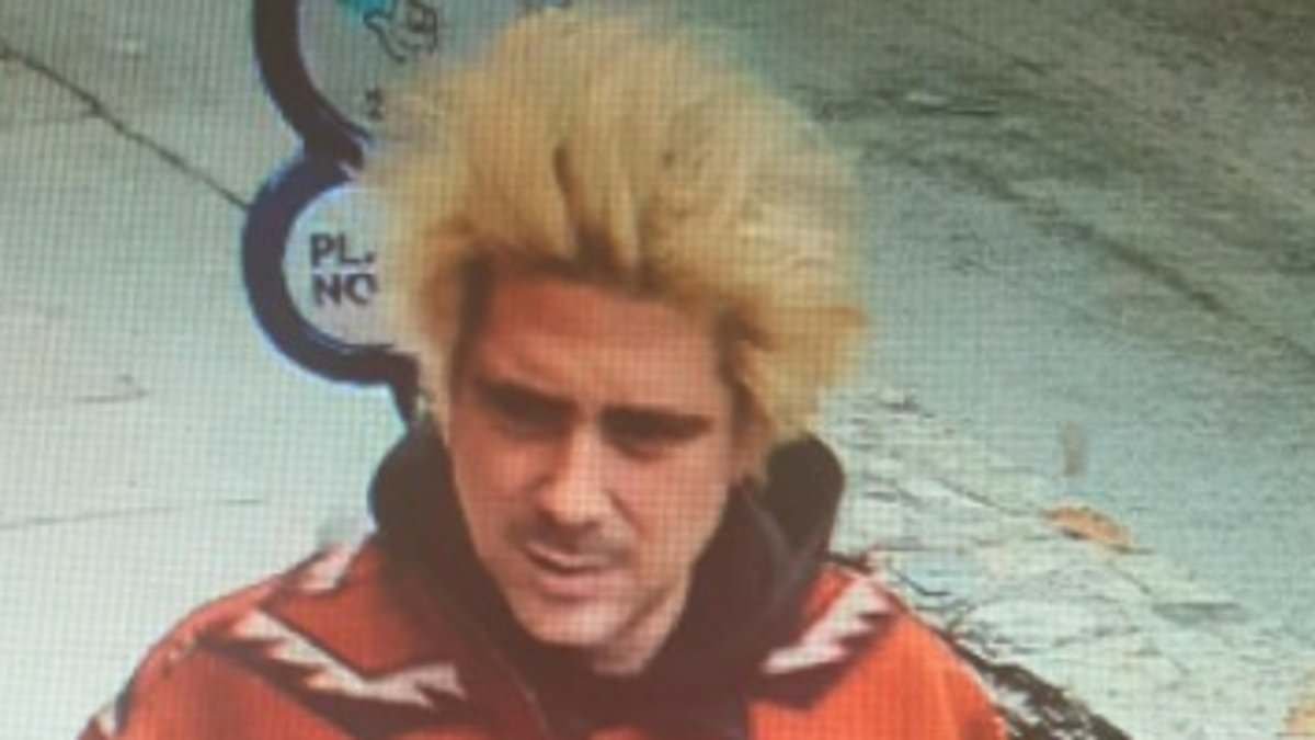 Police hunt dog walkers as they step up search for Mick Jagger's granddaughter's missing partner