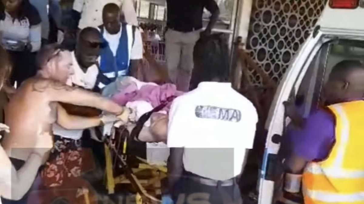 'I've never hit anything so hard': Brit shark attack victim, 66, describes desperate fight for survival as predator ripped off his thigh yards from shore in Tobago