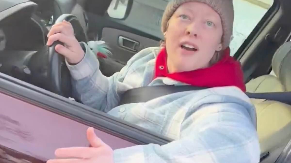 New video from ICE shooting in Minneapolis emerges showing Renee Good 'stalking and impeding' agents, DHS claims