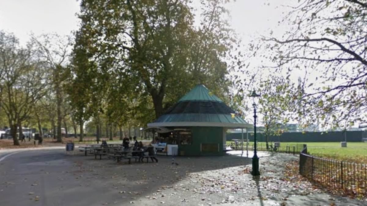 Sudanese asylum seeker is facing jail after threatening Christian preacher with a knife at Speakers' Corner
