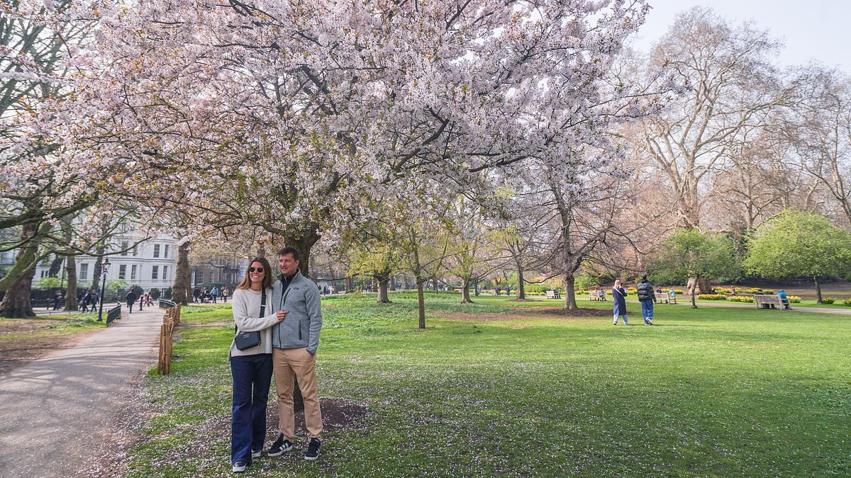 Britain prepares for a 'shock to the system' as Met Office warns of -5C temperatures with heavy rain, strong winds and even SNOW on the way