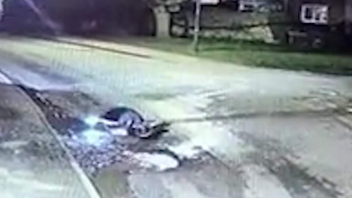 Moment e-scooter rider hits pothole and faceplants the road before being rushed to hospital