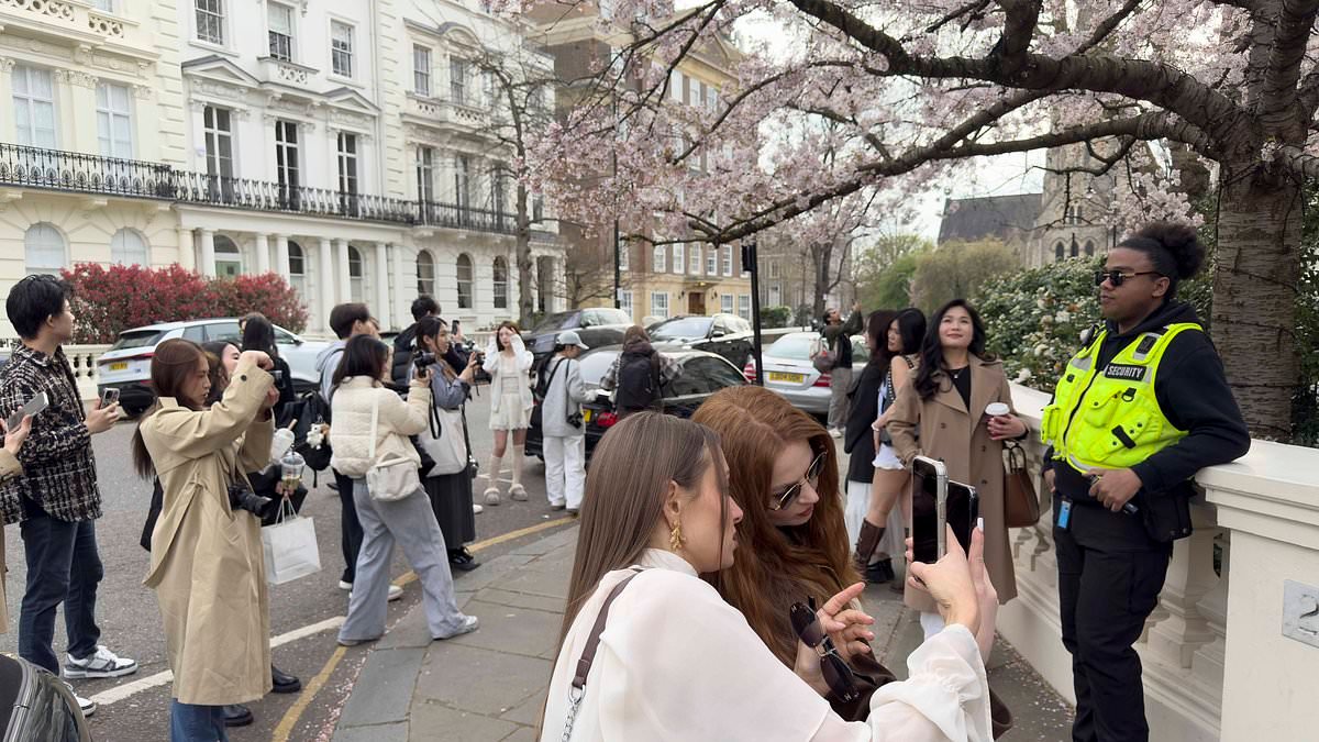 Now Notting Hill homeowners are hiring SECURITY to try to control influencers who are flocking to their street to snap photos with blooming cherry blossoms