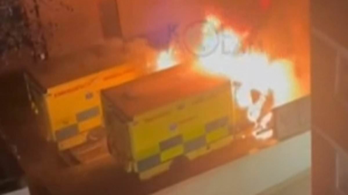 Three men are charged over arson attack on four Jewish community ambulances in Golders Green