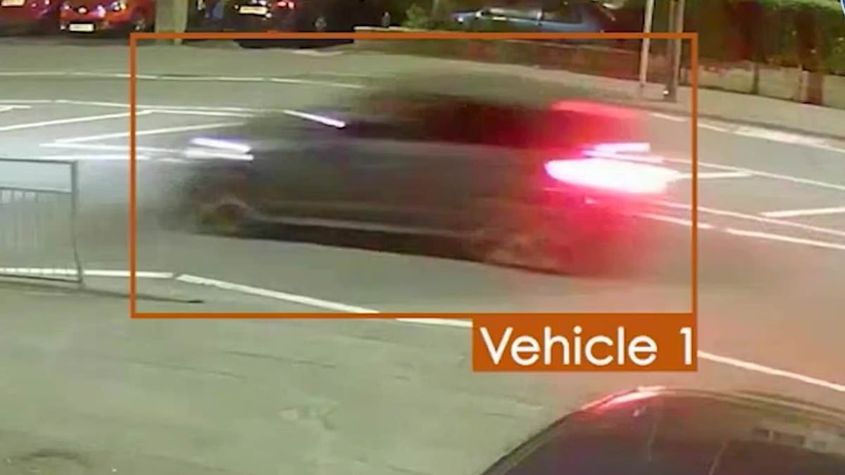 Moment gang members are arrested after drive-by shooting left mother with life-changing injuries - as four are jailed for more than 80 years