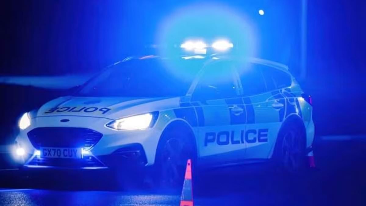 Man, 23, is dead and seven others are rushed to hospital after multi-vehicle crash 'following police pursuit'