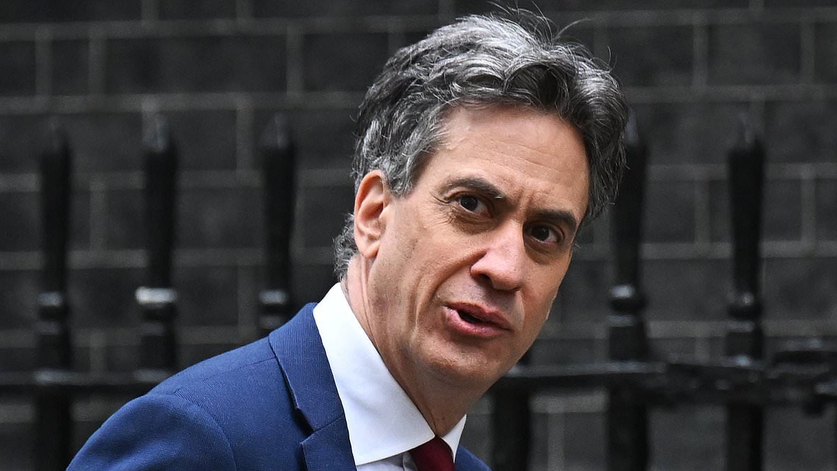 £24million taxpayer-funded green power network at port has never been used as it is too costly to run